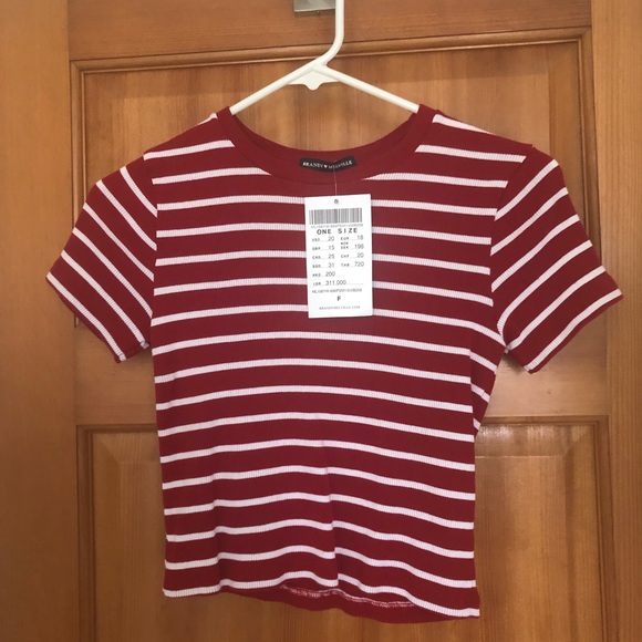 Brandy Melville Tops - NWT Brandy Melville Crop top